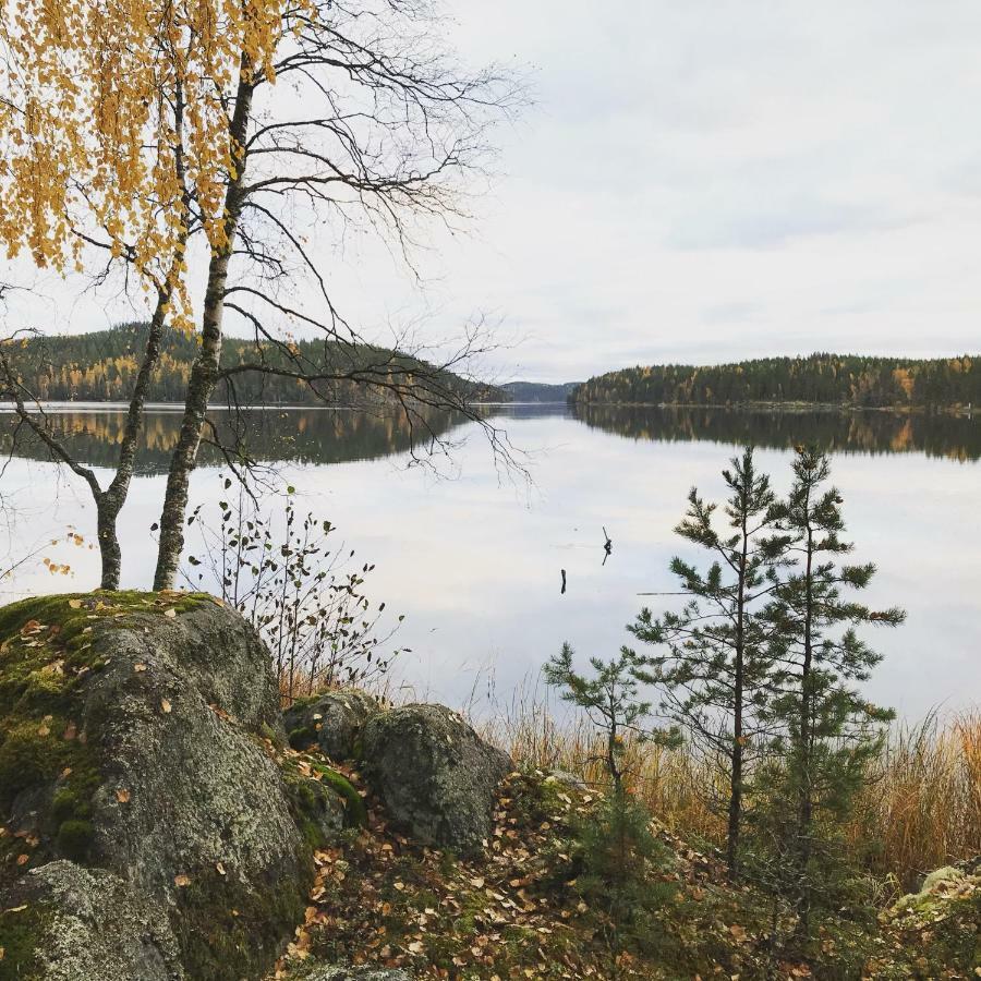 Вилла Koskenranta Хейнявеси Экстерьер фото